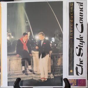 introducing: the style council - style concil