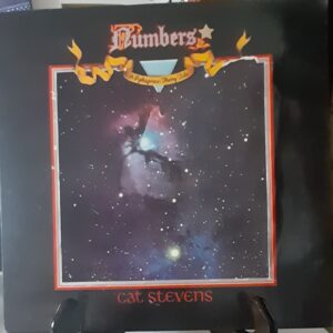 numbers - stevens cat